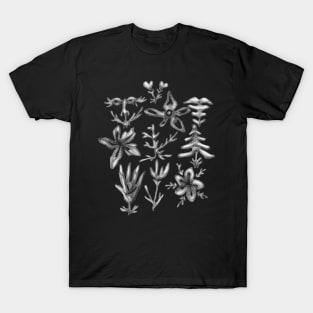 Flora & Fauna Creatures T-Shirt